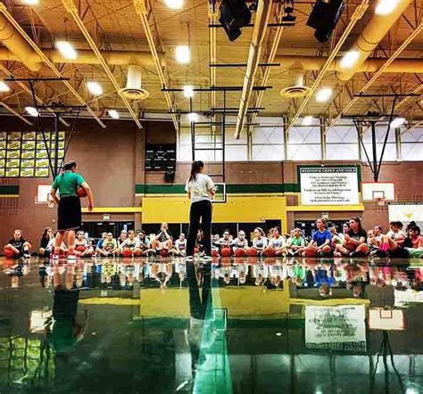 pinnacle sports college basketball|Pinnacle Hoops.